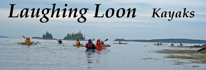  Results for: Laughing Loon Wooden Strip Built Kayaks And Canoes Build